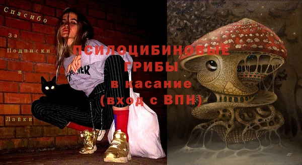 spice Абаза