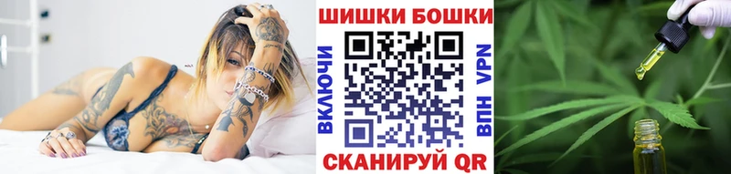 купить наркоту  Питкяранта  МЕГА как зайти  Каннабис ГИДРОПОН 